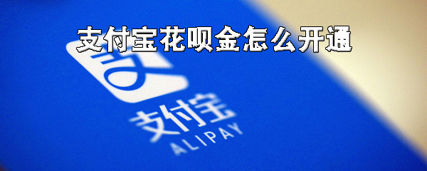 我来说说支付宝怎么开通花呗金。