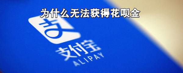 我来说说无法获得花呗金怎么回事。