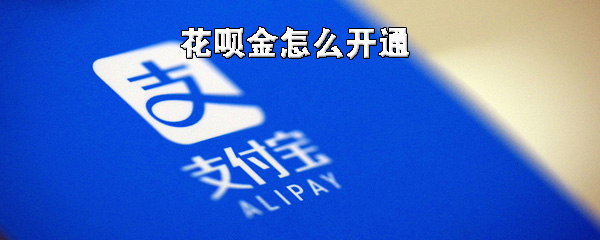 我来说说如何开通支付宝花呗金。
