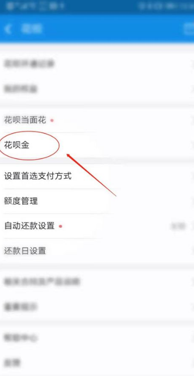 我来说说如何开通支付宝花呗金。