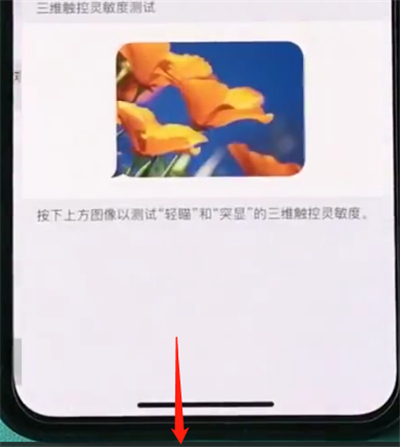 我来说说iphonexs开启半屏功能的操作流程。