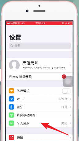 我来说说苹果手机开启热点的简单操作过程。
