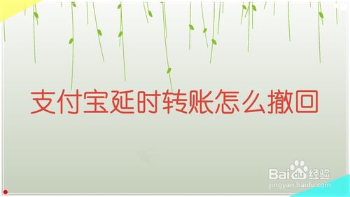 我来说说支付宝延时转账如何撤回。