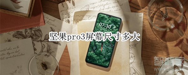 我来说说坚果pro3屏幕尺寸是多少。