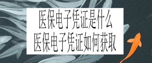 我来说说医保电子凭证怎么获得。