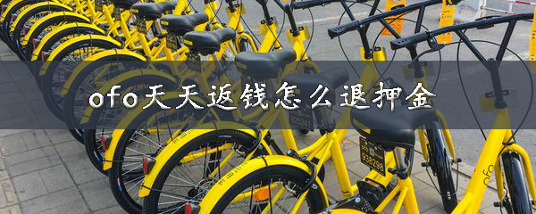 我来说说ofo天天返钱退押金能退吗。