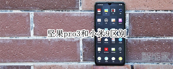 我来说说坚果pro3和小米9有什么区别。