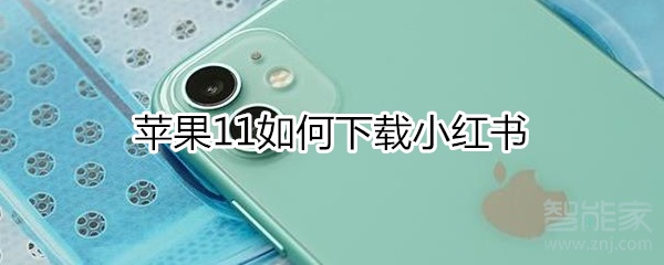 我来说说iphone11怎么下载小红书。