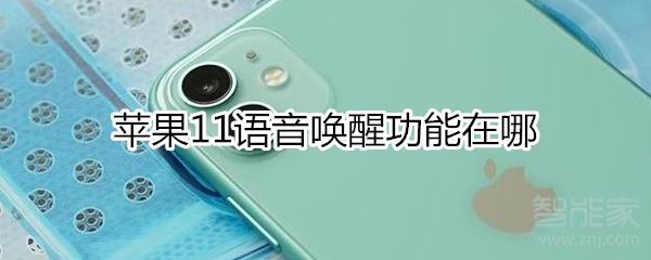 我来说说iphone11语音唤醒功能在什么位置。
