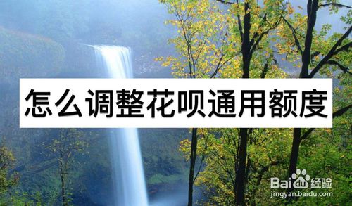我来说说如何调整花呗的通用额度。