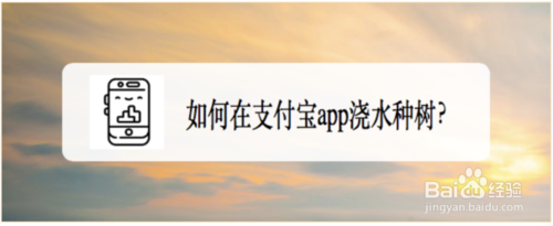 我来说说怎么在支付宝浇水种树。
