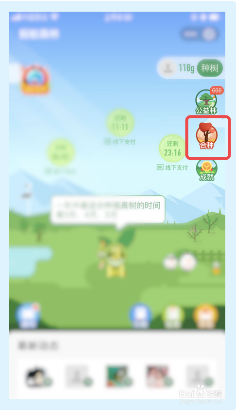 我来说说怎么在支付宝浇水种树。