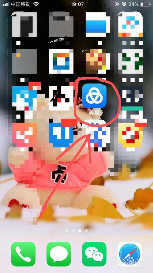 我来说说美篇App应用钱包收支明细怎么查看。