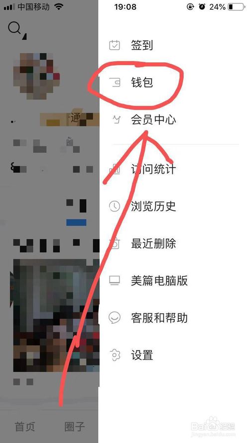我来说说美篇App应用钱包收支明细怎么查看。