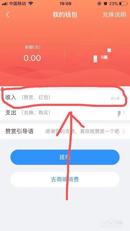 我来说说美篇App应用钱包收支明细怎么查看。