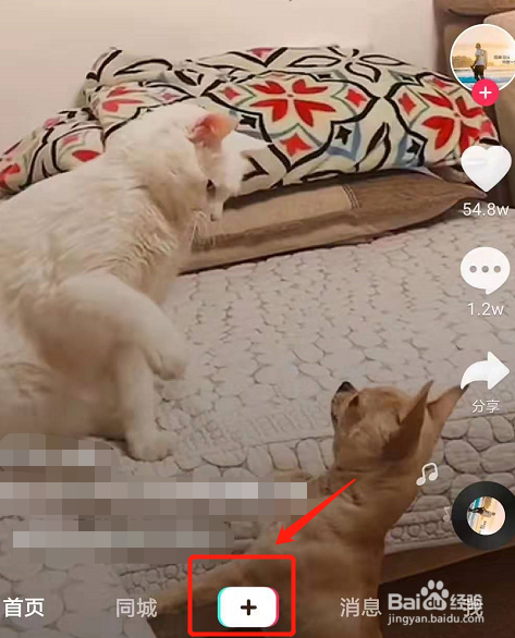 我来说说抖音如何拍12月你好特效。