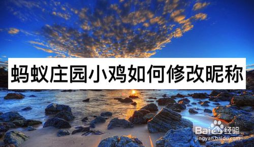 我来说说蚂蚁庄园小鸡怎么修改昵称。