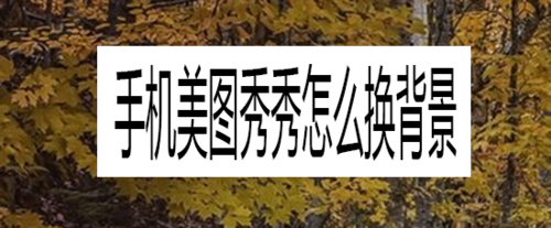 我来说说手机美图秀秀背景在哪更换。