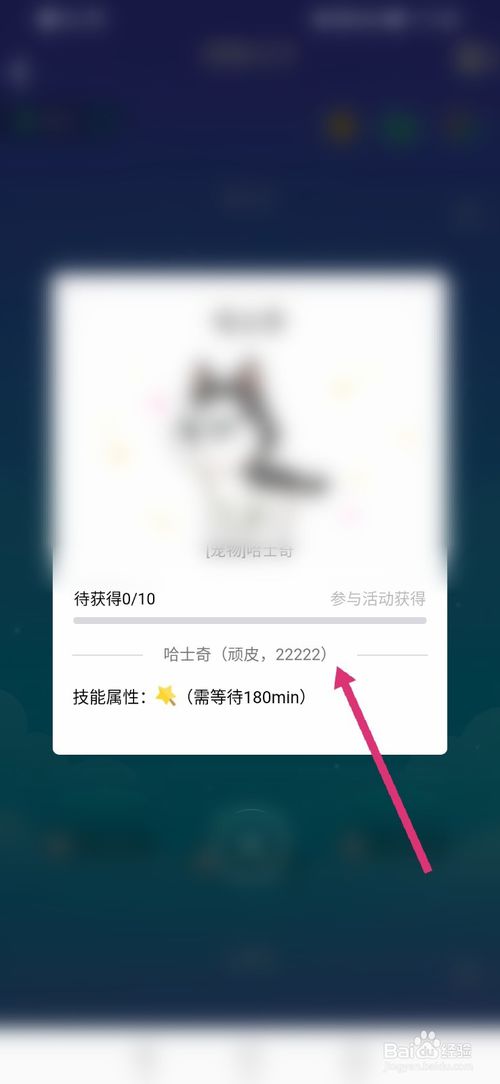 我来说说qq厘米秀怎么领养宠物。