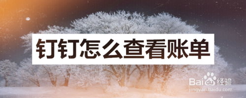我来说说钉钉账单在哪看。