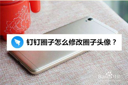 我来说说钉钉圈子头像怎么换。