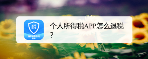 我来说说个人所得税APP怎么申请退税。