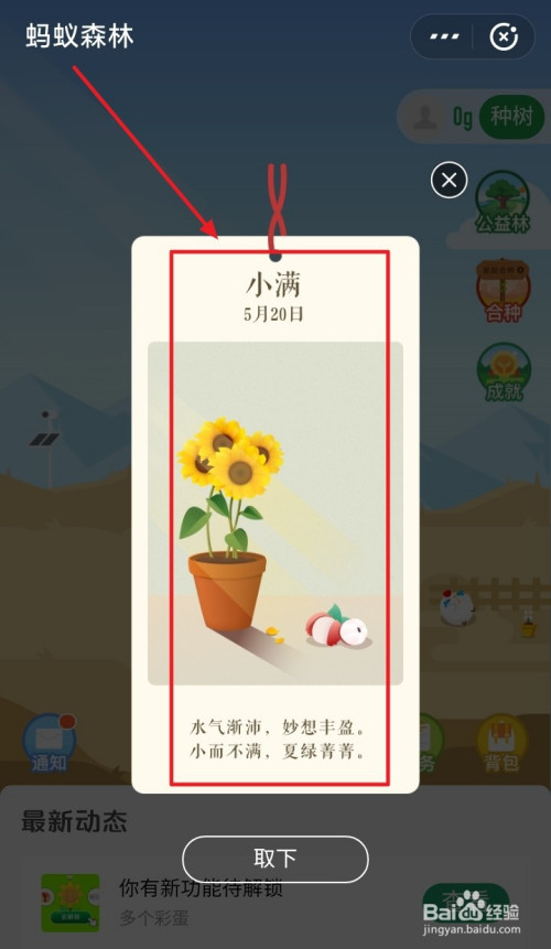 我来说说支付宝蚂蚁森林小满节气装扮怎么得。