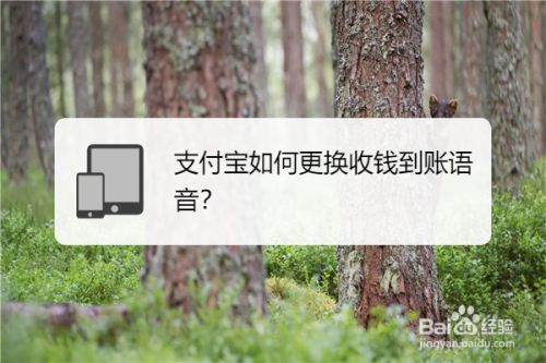 我来说说支付宝到账语音类型设置方法我来说说。