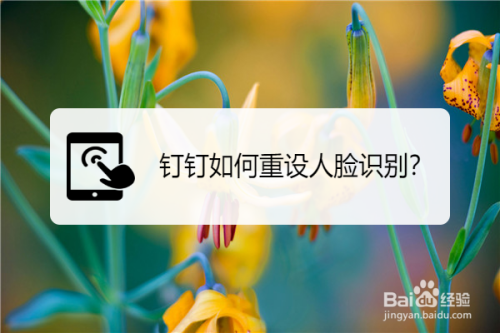 我来说说钉钉人脸识别怎么更换。