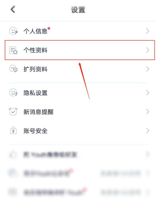 Youth个性资料去哪填写