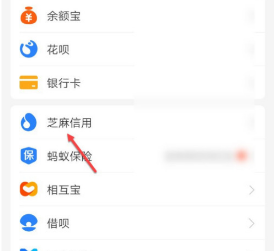 支付宝芝麻信用客服怎么联系
