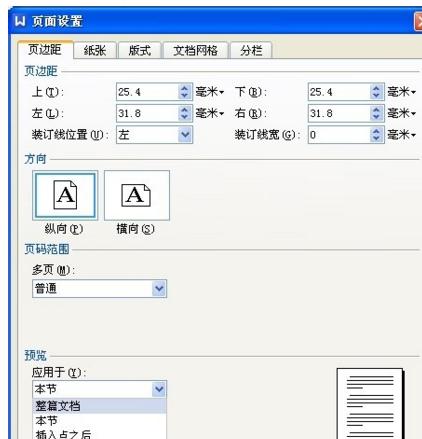 WPS调整文档页面板式的详细操作。