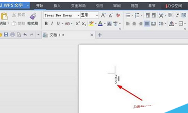 wps打出分数的简单操作。