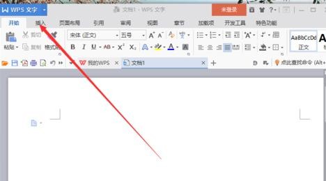 wps显示隐藏文字标记的操作流程。