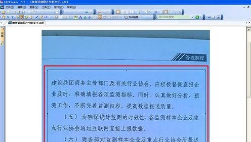 WPS识别图片中文字的详细操作过程。