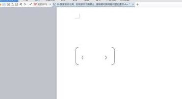 wps文字输入大括号小括号的简单操作。