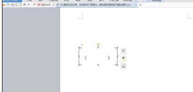 wps文字输入大括号小括号的简单操作。