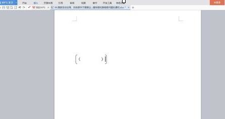 wps文字输入大括号小括号的简单操作。