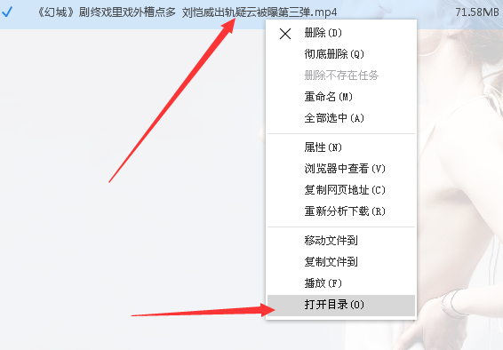 维棠FLV下载网页视频的基础操作。