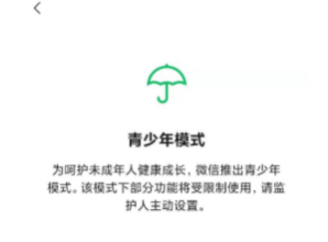 微信监护人可以看聊天记录吗。