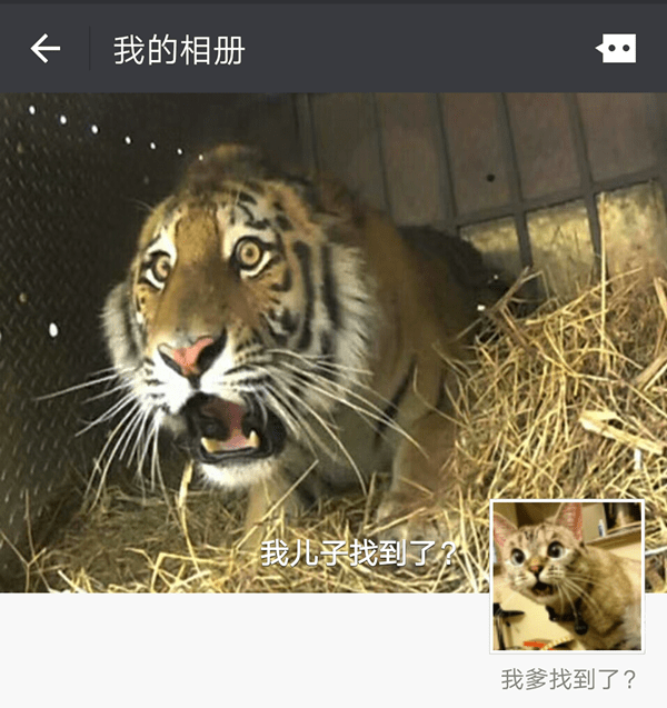 微信朋友圈还能这么玩,100%与众不同