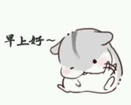微信早安表情包有多少。