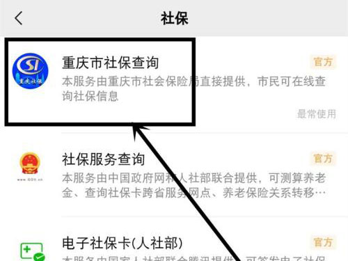 微信怎么查养老保险查询个人账户。