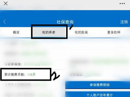 微信怎么查养老保险查询个人账户。