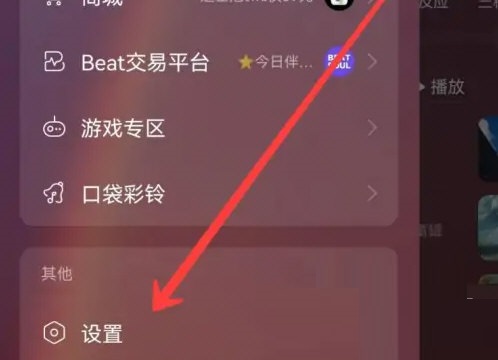 网易云音乐如何开启流量播放 网易云音乐官方
