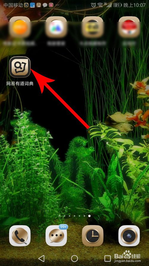 网易有道词典如何翻译网页。