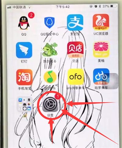 小编教你苹果6plus中使用缩放的操作步骤。