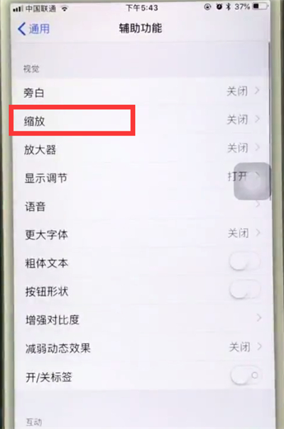 小编教你苹果6plus中使用缩放的操作步骤。