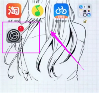 小编教你iphone6plus开启电量百分比的具体方法。