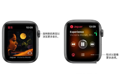 Applewatchseries6怎么单独播放音乐?Applewatchseries6单独播放音乐方法截图